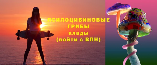 спиды Горнозаводск