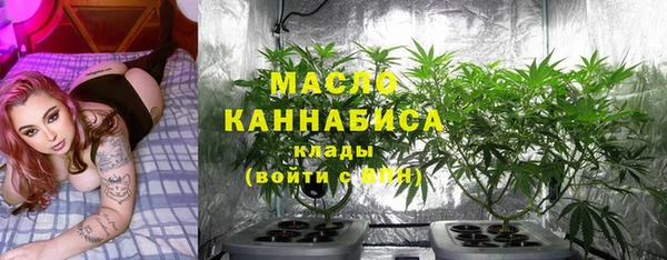 тгк Володарск