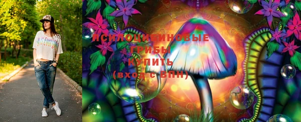 спиды Горнозаводск